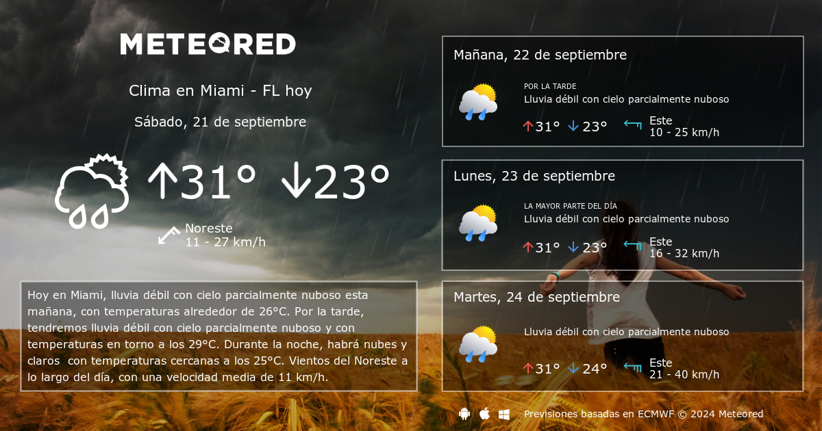 Clima en Miami FL. El tiempo a 14 d as Meteored