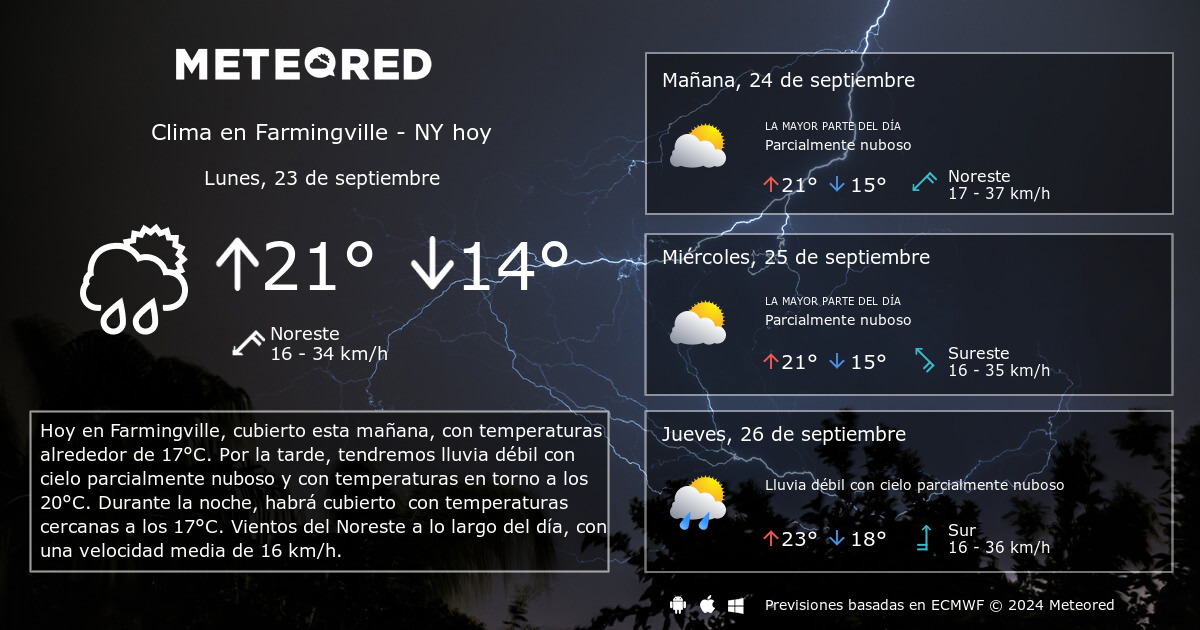 11.11 y las ventas en linea - Nidux